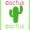 Picture Card Cactus