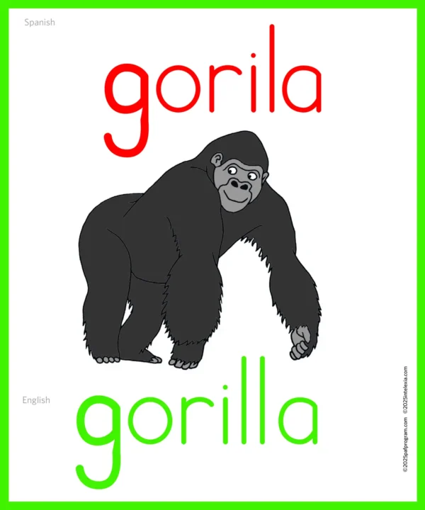 Picture card gorilla